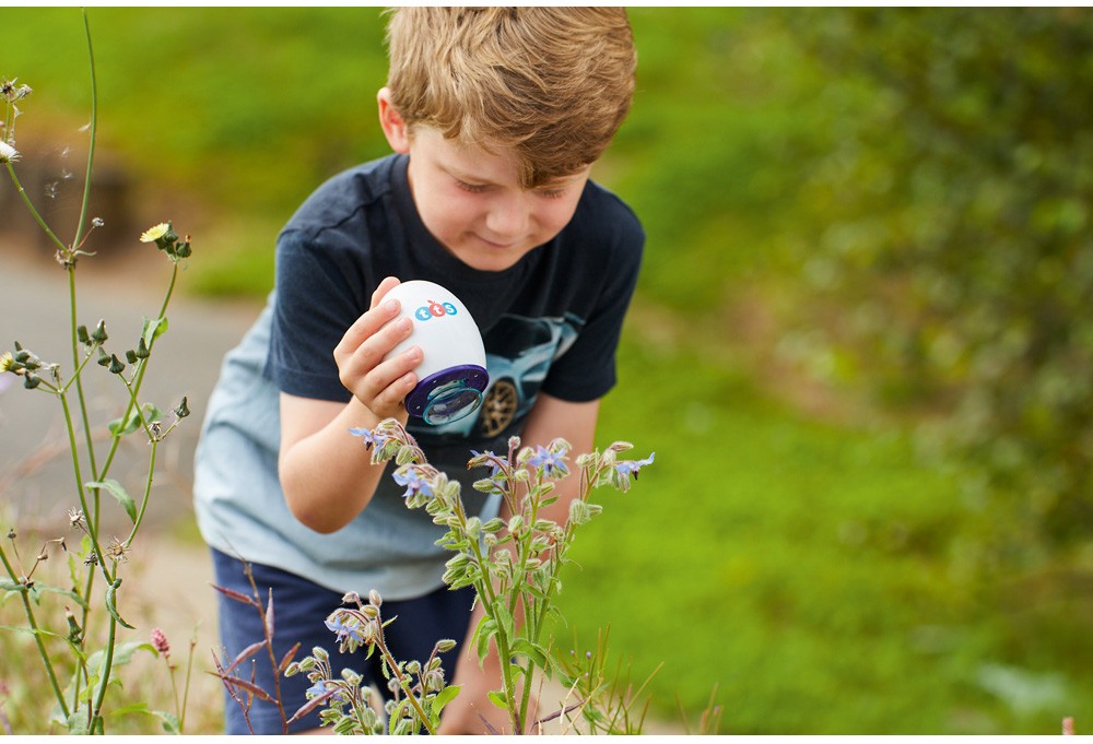 Barn undersöker blommor med ett digitalt mikroskop under en aktivitet utomhus.